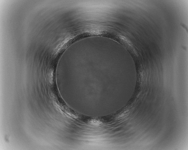 X0000102490596200808151458