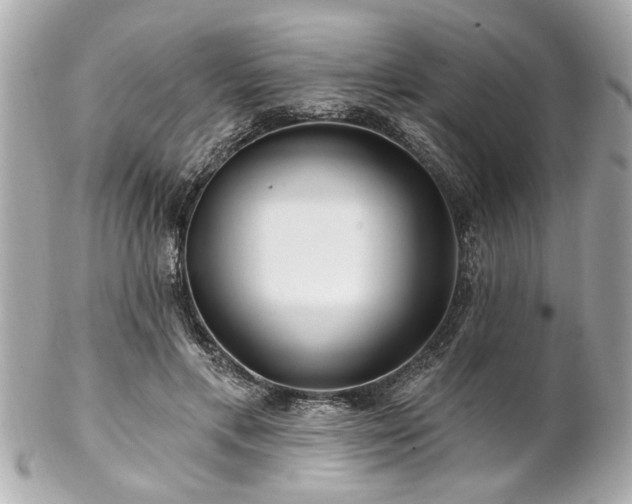 X0000102490597200808151458