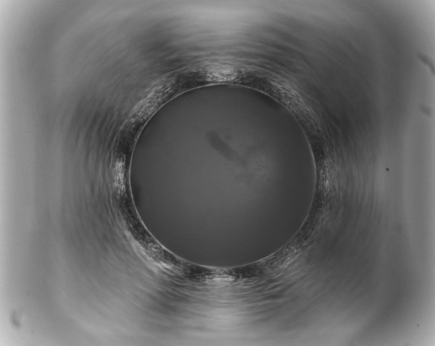 X0000102490598200808151458