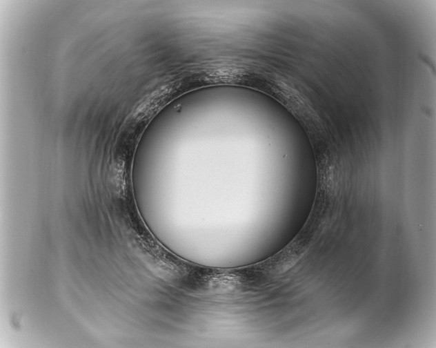 X0000102490599200808151458