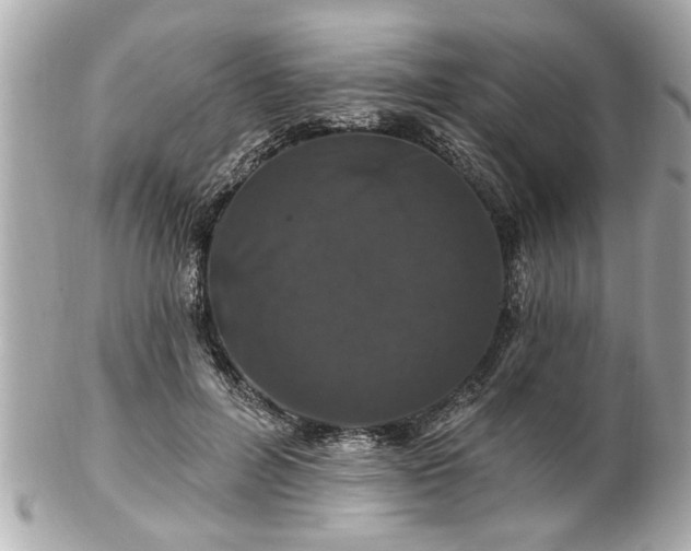 X0000102490600200808151458