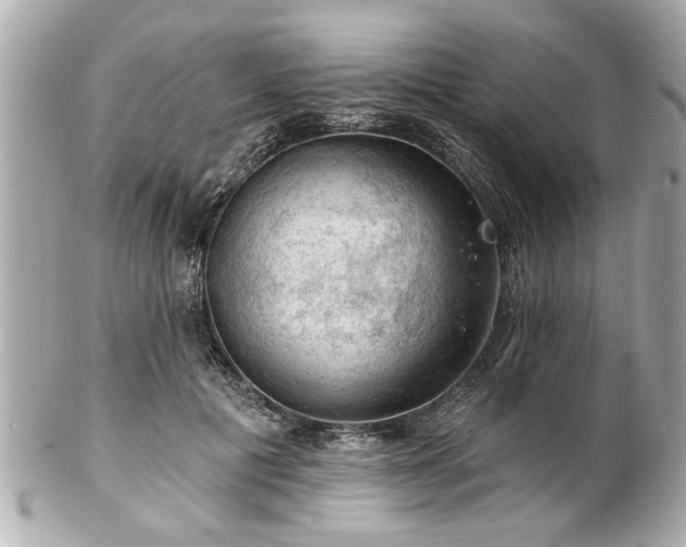 X0000102490601200808151458