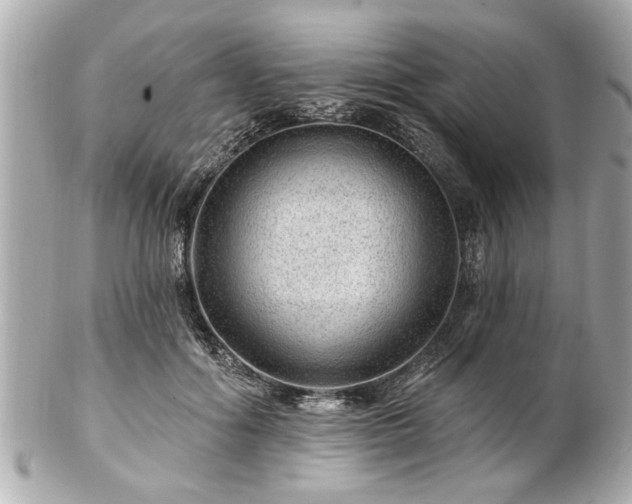 X0000102490602200808151458