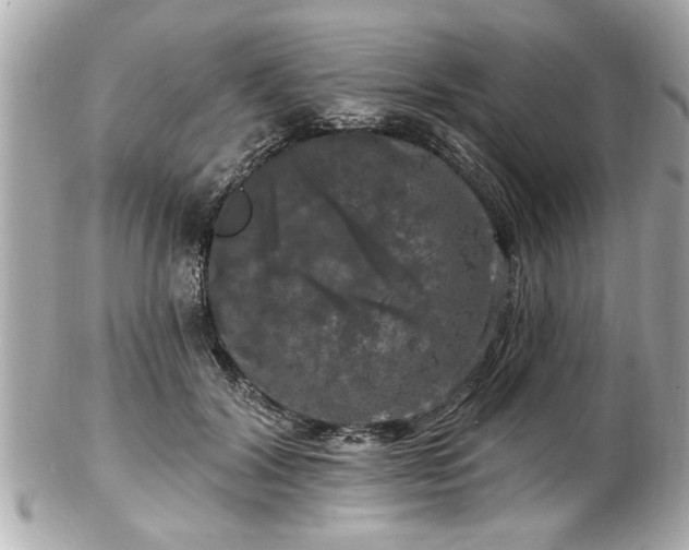 X0000102490604200808151458