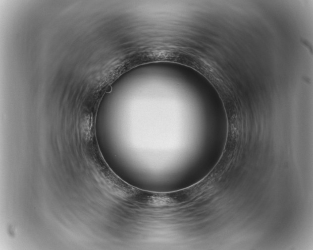 X0000102490605200808151458