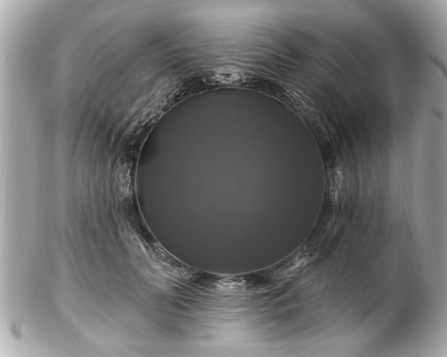 X0000102490606200808151458