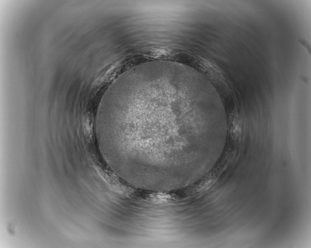 X0000102490607200808151458