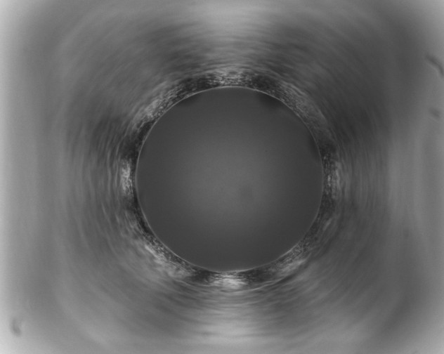 X0000102490610200808151458