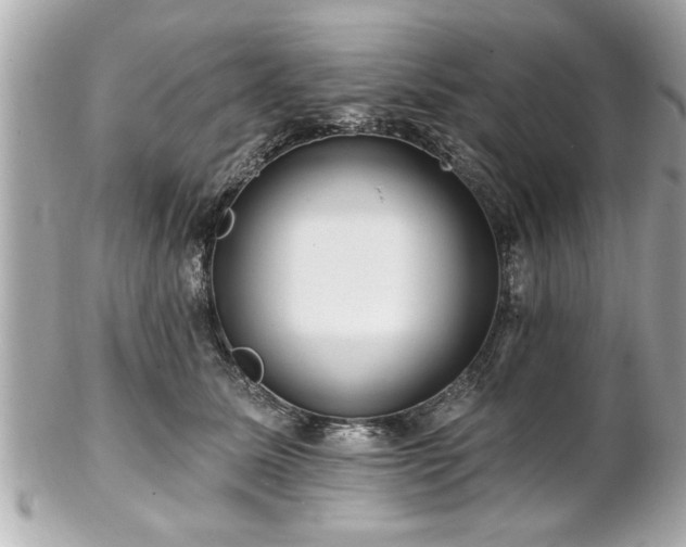 X0000102490611200808151458