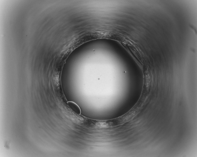 X0000102490613200808151458