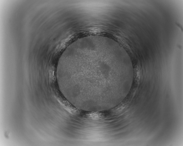 X0000102490615200808151458