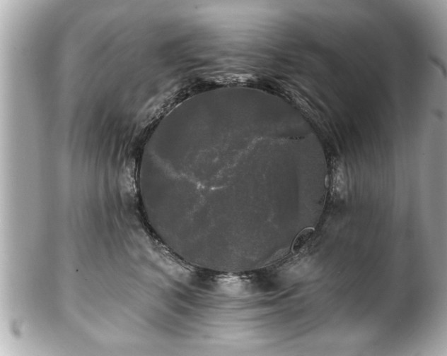 X0000102490616200808151458