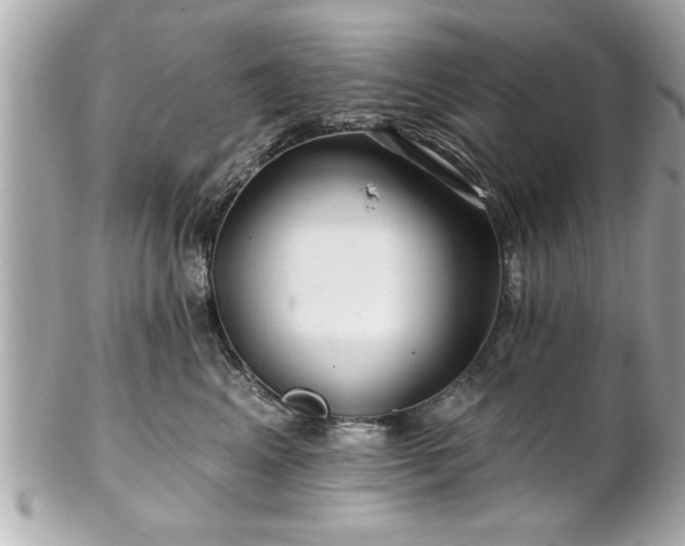 X0000102490617200808151458