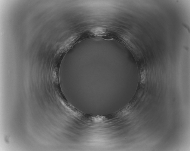 X0000102490618200808151458