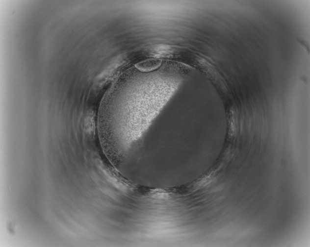 X0000102490620200808151457