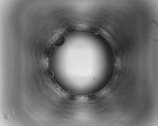 X0000102490621200808151457