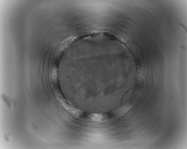 X0000102490623200808151457