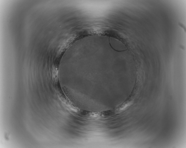 X0000102490624200808151457