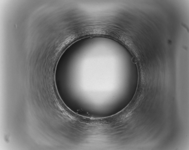 X0000102490625200808151457