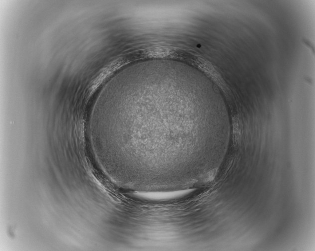 X0000102490626200808151457