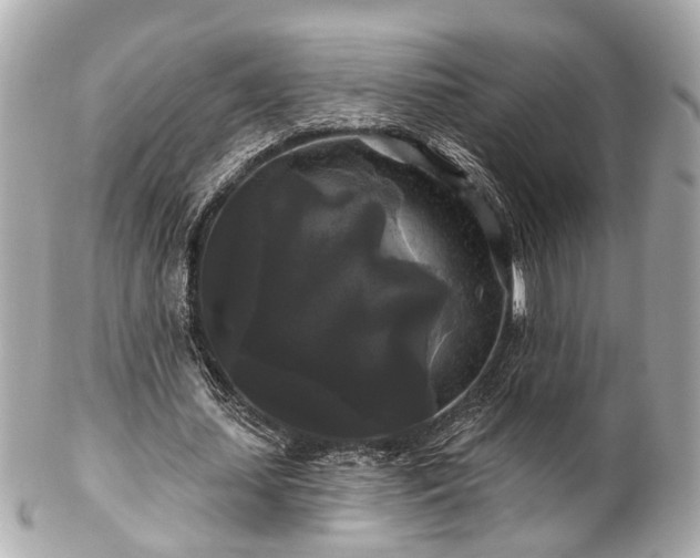 X0000102490627200808151457