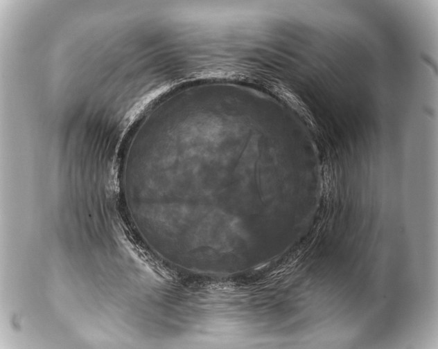 X0000102490628200808151457