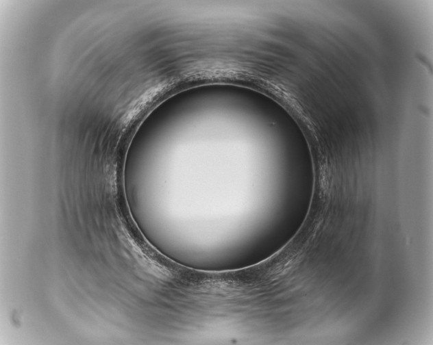 X0000102490629200808151457