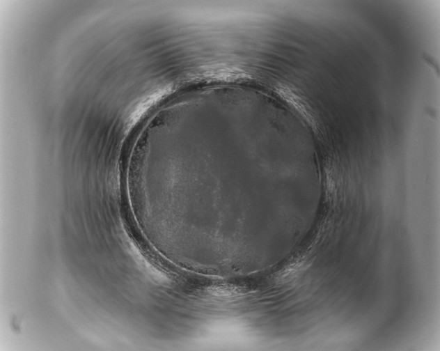 X0000102490630200808151457