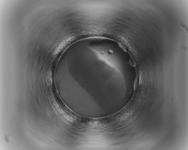 X0000102490634200808151457