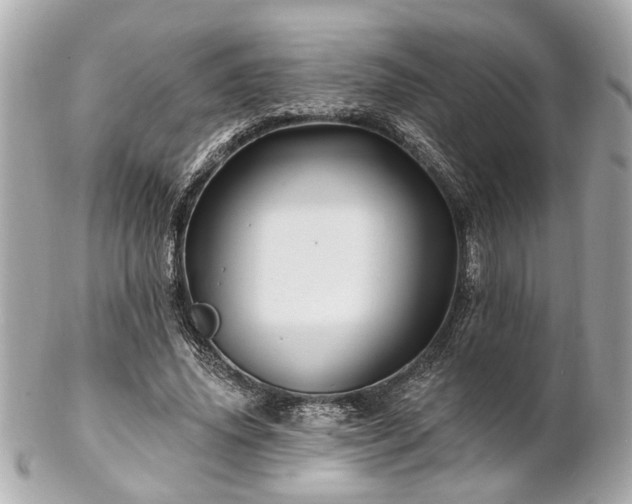 X0000102490636200808151457