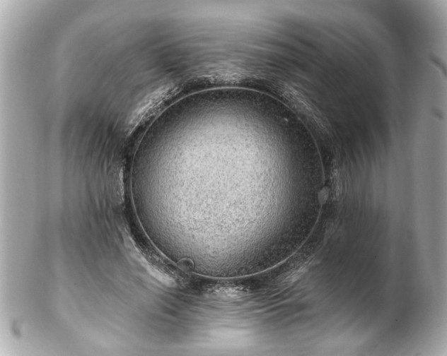 X0000102490638200808151457