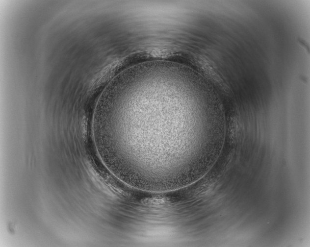 X0000102490639200808151457