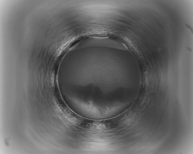 X0000102490640200808151457