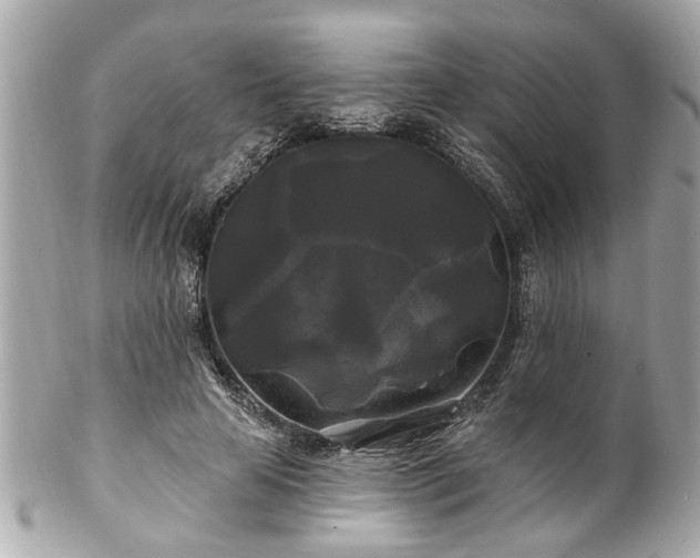 X0000102490641200808151457