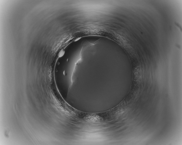 X0000102490642200808151457