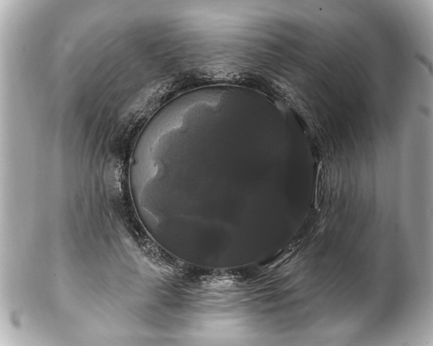 X0000102490643200808151457