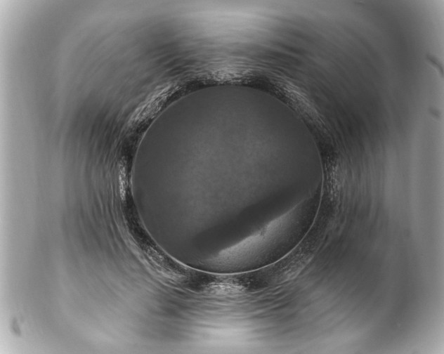 X0000102490644200808151457