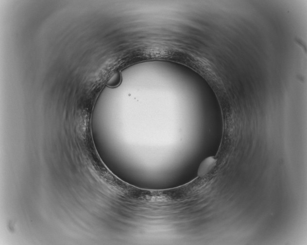 X0000102490645200808151457