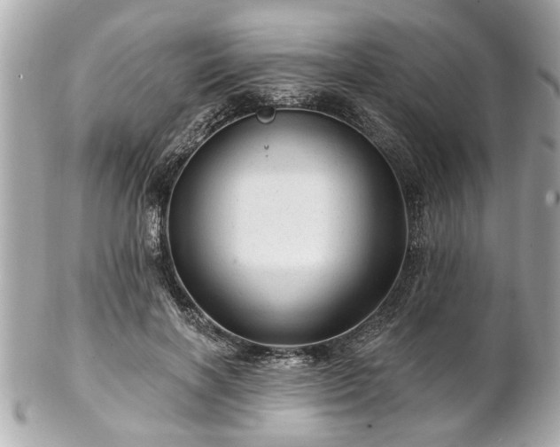 X0000102490646200808151457