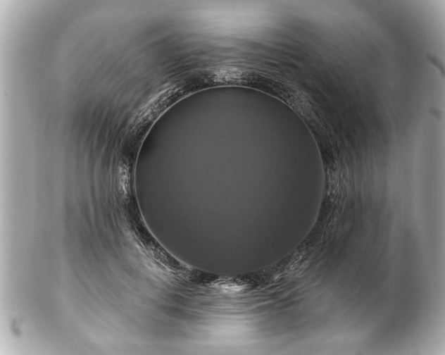 X0000102490648200808151457