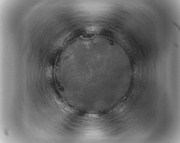 X0000102490649200808151457