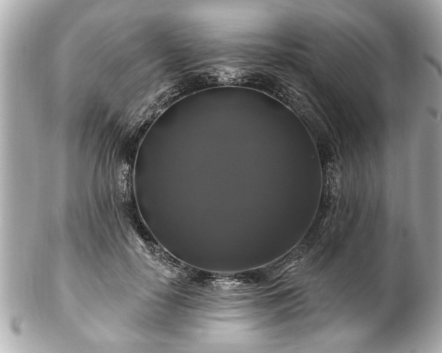 X0000102490650200808151457