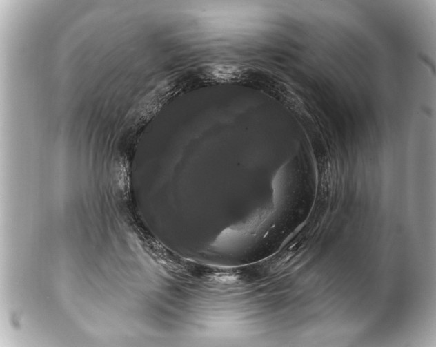 X0000102490651200808151457