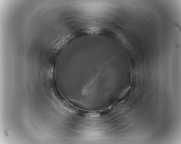 X0000102490652200808151457