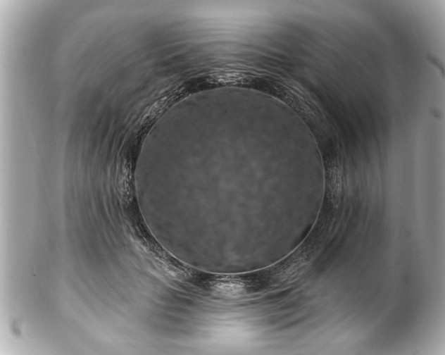 X0000102490653200808151457