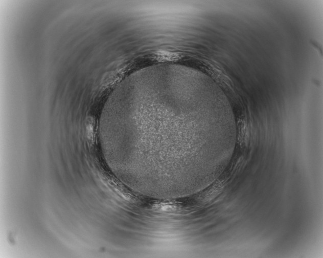 X0000102490655200808151457