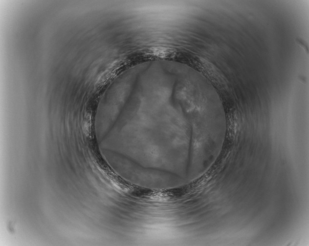 X0000102490656200808151457