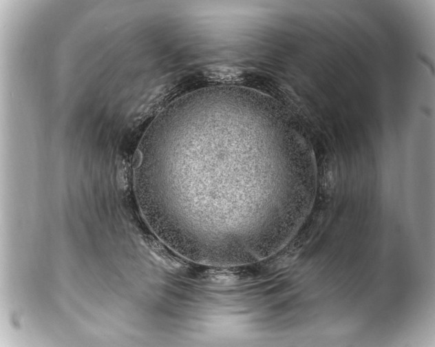 X0000102490658200808151457