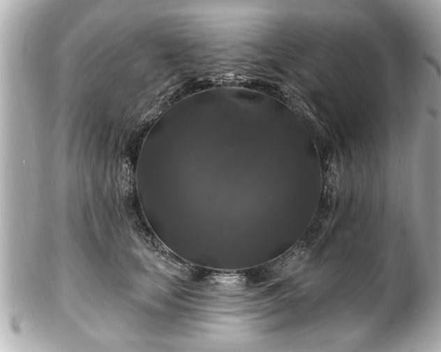 X0000102490659200808151457