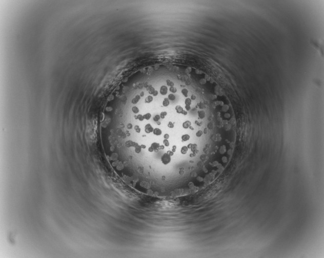 X0000102490660200808151457